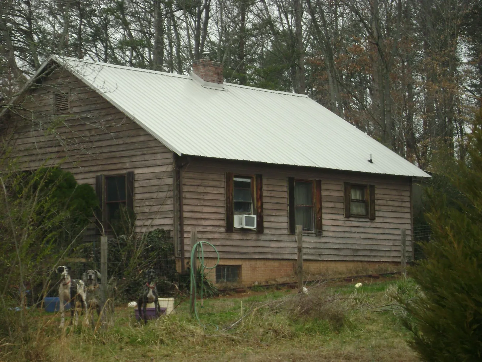 White metal roof on an old wood sided farmhouse, from a Asphalt Shingle Roof Repair job in Vandalia